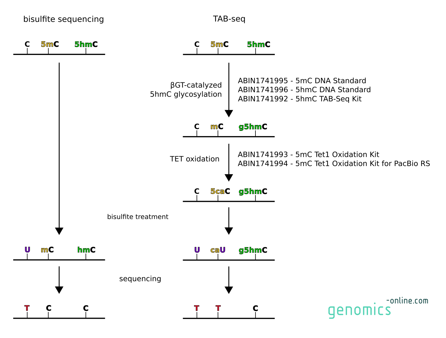 Tab-sequencing assays