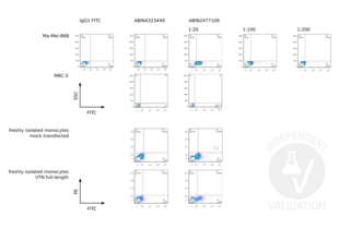 Flow Cytometry validation image for anti-Vitronectin (VTN) antibody (ABIN2477109) (Vitronectin antibody)