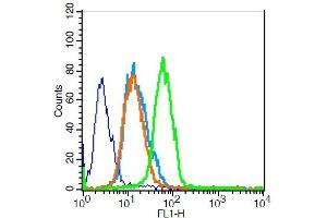 Flow Cytometry (FACS) image for anti-Baculoviral IAP Repeat-Containing 5 (BIRC5) (AA 85-142) antibody (ABIN670911)