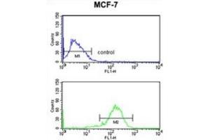 Flow Cytometry (FACS) image for anti-Interleukin 10 Receptor, alpha (IL10RA) antibody (ABIN3003900) (IL-10RA antibody)