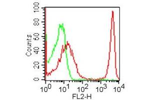 Flow Cytometry (FACS) image for anti-CD4 (CD4) antibody (PE) (ABIN6657902)