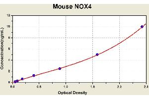 Diagramm of the ELISA kit to detect Mouse NOX4with the optical density on the x-axis and the concentration on the y-axis. (NADPH Oxidase 4 ELISA Kit)