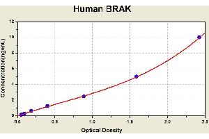 Diagramm of the ELISA kit to detect Human BRAKwith the optical density on the x-axis and the concentration on the y-axis. (CXCL14 ELISA Kit)