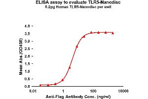 Elisa plates were pre-coated with Flag Tag -Nanodisc (0. (TLR5 Protein)