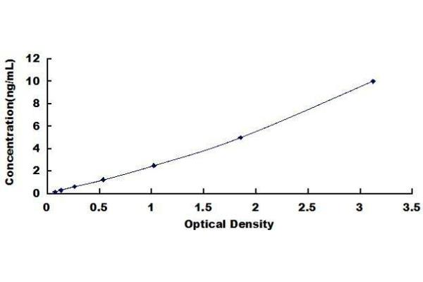 EXOSC2 ELISA Kit