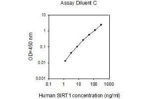 ELISA image for Sirtuin 1 (SIRT1) ELISA Kit (ABIN4884555) (SIRT1 ELISA Kit)