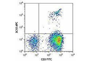 Flow Cytometry (FACS) image for anti-TCR V Alpha7.2 antibody (APC) (ABIN2658401) (TCR V Alpha7.2 antibody (APC))