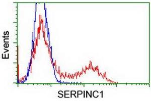 Image no. 1 for anti-Serpin Family C Member 1 (SERPINC1) antibody (ABIN1500894) (SERPINC1 antibody)