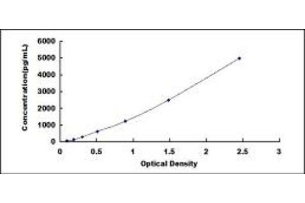 FGF9 ELISA Kit