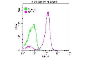 Overlay histogram showing Jurkat cells stained with ABIN7127273 (red line) at 1:50. (Recombinant Bcl-2 antibody)