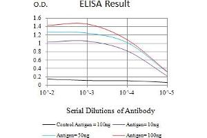 Black line: Control Antigen (100 ng),Purple line: Antigen (10 ng), Blue line: Antigen (50 ng), Red line:Antigen (100 ng) (MSH6 antibody  (AA 374-540))