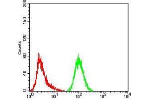 Flow Cytometry (FACS) image for anti-Glutamine--Fructose-6-Phosphate Transaminase 1 (GFPT1) (AA 536-681) antibody (ABIN5934436) (GFPT1 antibody  (AA 536-681))