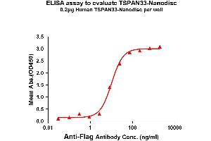 TSPAN33 Protein