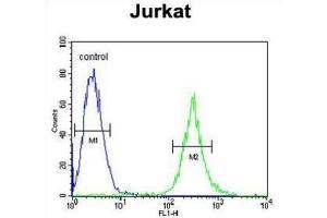 Flow Cytometry (FACS) image for anti-Apoptosis-Inducing, TAF9-Like Domain 1 (APITD1) antibody (ABIN3002170) (APITD1 antibody)