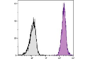 BALB/c mouse splenocytes were stained with Mouse Anti-Mouse H-2Kd/H-2Dd-PE. (H-2Kd/H-2Dd antibody (PE))