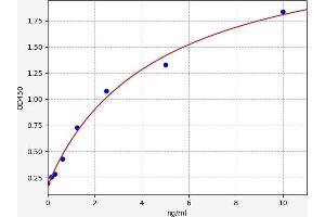 GGT5 ELISA Kit