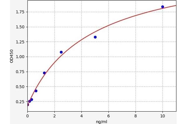 GGT5 ELISA Kit