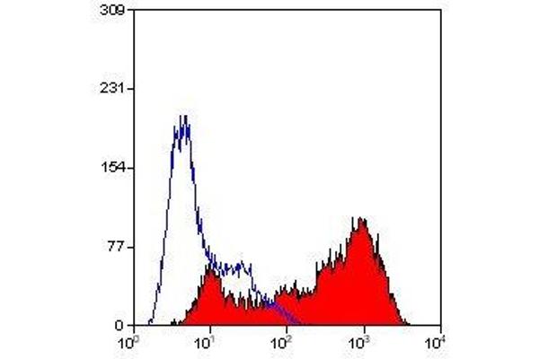 CD45RC antibody