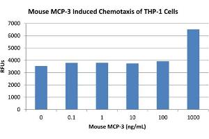 SDS-PAGE of Mouse Monocyte Chemotactic Protein-3 (CCL7) Recombinant Protein Bioactivity of Mouse Monocyte Chemotactic Protein-3 (CCL7) Recombinant Protein. (CCL7 Protein)