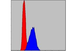 Flow Cytometry (FACS) image for anti-Apoptosis-Inducing Factor, Mitochondrion-Associated, 1 (AIFM1) antibody (ABIN968950)