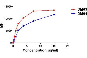 Affinity ranking of different Rabbit anti- CD28 mAb clones by titration of different concentration onto Jurkat cells. (Recombinant CD28 antibody  (AA 19-152))