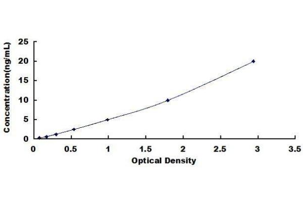 SERPINB1 ELISA Kit