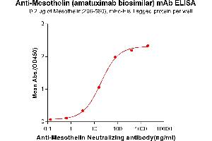 ELISA plate pre-coated by 2 μg/mL (100 μL/well) Human Mesothelin, mFc-His tagged protein ABIN6961104, ABIN7042237 and ABIN7042238 can bind Anti-Mesothelin Neutralizing antibody in a linear range of 3. (Recombinant Mesothelin (Amatuximab Biosimilar) antibody)