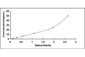 ELISA image for Complement Factor B (CFB) ELISA Kit (ABIN6720575)