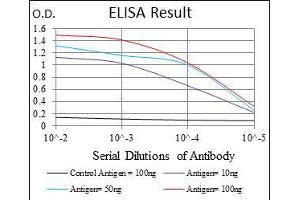 ELISA image for anti-Interleukin 1, beta (IL1B) antibody (ABIN969215)