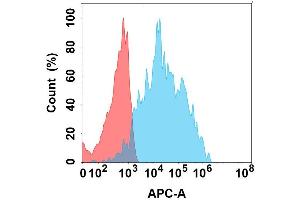 Flow cytometry analysis with Anti-IL4RA on Expi293 cells transfected with human IL4RA (Blue histogram) or Expi293 transfected with irrelevant protein (Red histogram). (IL4 Receptor antibody)