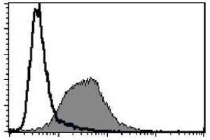 Flow cytometric analysis of mouse CD63 expression on WEHI-3B. (CD63 antibody)