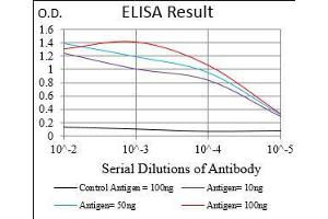 Black line: Control Antigen (100 ng), Purple line: Antigen(10 ng), Blue line: Antigen (50 ng), Red line: Antigen (100 ng), (DARPP32 antibody  (AA 95-204))