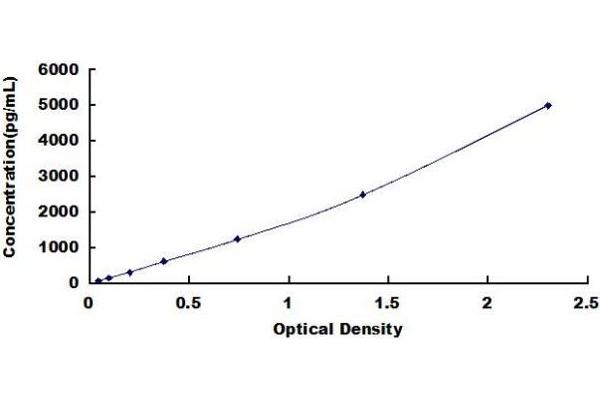 SEMA3C ELISA Kit