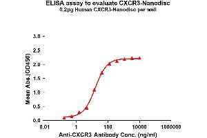 Elisa plates were pre-coated with Flag Tag C-Nanodisc (0. (CXCR3 Protein)