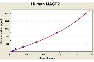 Diagramm of the ELISA kit to detect Human MASP2with the optical density on the x-axis and the concentration on the y-axis. (Mannan Associated Serine Protease 2 ELISA Kit)