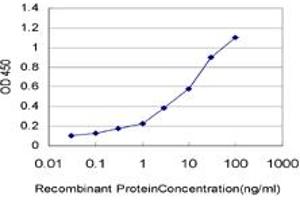 Detection limit for recombinant GST tagged SNAPC5 is approximately 0. (SNAPC5 antibody  (AA 1-68))