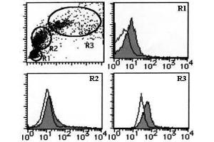 Flow Cytometry (FACS) image for anti-Transferrin Receptor (p90, CD71) (TFRC) antibody (ABIN1449271) (Transferrin Receptor antibody)