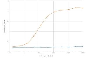 ELISA of anti-BTLA antibody on BTLA-Fc fusion protein. (Recombinant BTLA antibody)