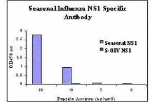 Image no. 1 for anti-Influenza Non Structural 1 antibody (Influenza A Virus H1N1) (ABIN478148) (Influenza A NS1 antibody)