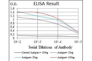 ELISA image for anti-Glucose-6-Phosphate Dehydrogenase (G6PD) antibody (ABIN969161)