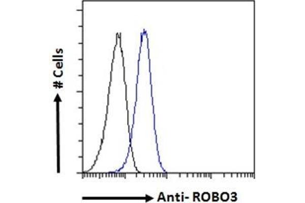 ROBO3 antibody  (Internal Region)