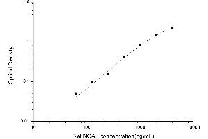 Typical standard curve (Lipocalin 2 ELISA Kit)