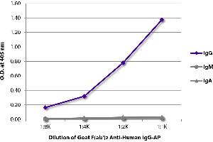 ELISA plate was coated with purified human IgG, IgM, and IgA. (Goat anti-Human IgG (Heavy Chain) Antibody (Alkaline Phosphatase (AP)))