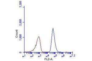 Flow Cytometry (FACS) image for anti-Sequestosome 1 (SQSTM1) antibody (ABIN2854836)