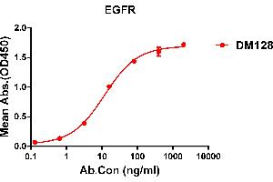 ELISA plate pre-coated by 1 μg/mL (100 μL/well) Human EGFR protein, His tagged protein ABIN6964078, ABIN7042411 and ABIN7042412 can bind Rabbit anti-EGFR monoclonal antibody (clone: DM128) in a linear range of 0. (EGFR antibody  (AA 25-645))