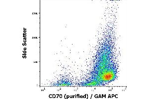 Flow cytometry surface staining pattern of HUT-78 cells stained using anti-human CD70 (Ki-24) purified antibody (concentration in sample 1 μg/mL) GAM APC. (CD70 antibody)