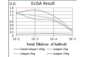 Black line: Control Antigen (100 ng), Purple line: Antigen(10 ng), Blue line: Antigen (50 ng), Red line: Antigen (100 ng), (CD38 antibody  (AA 43-300))