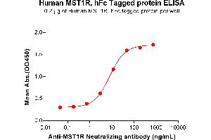 ELISA plate pre-coated by 2 μg/mL (100 μL/well) Human R Protein, hFc Tag (ABIN6964141, ABIN7042561 and ABIN7042562) can bind Anti-R Neutralizing antibody ABIN7478014 and ABIN7490967 in a linear range of 0. (MST1R Protein (AA 25-957) (Fc Tag))