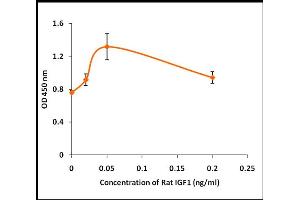 IGF1 Protein