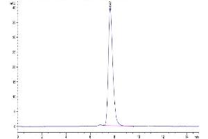 The purity of Biotinylated Human FGFR2 alpha (IIIc) is greater than 95 % as determined by SEC-HPLC. (FGFR2 alpha (AA 22-377) protein (His-Avi Tag,Biotin))